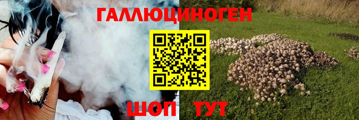 Партизанск  Псилоцибиновые грибы Cubensis  Псилоцибиновые грибы Psilocybine cubensis  Вход с VPN 